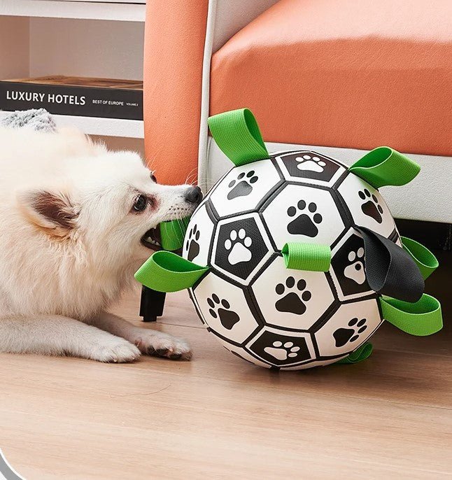 BALLE INTERACTIVE POUR CHIEN|ToyBall™ - MyDoggy - Shop