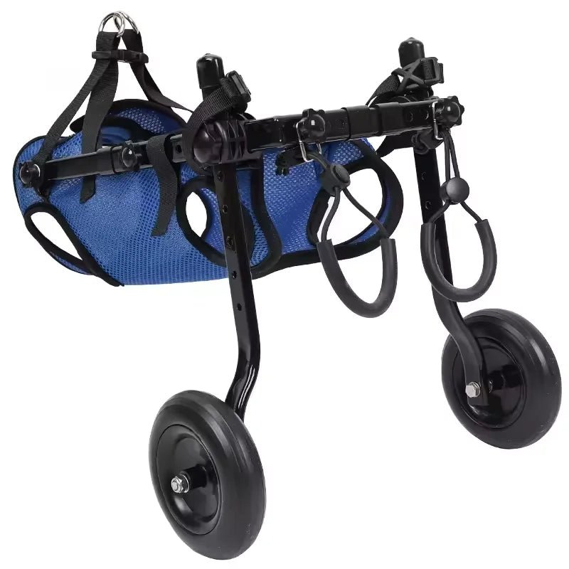 Chariot pour chien | Roues de l’Espoir™ - MyDoggy - Shop