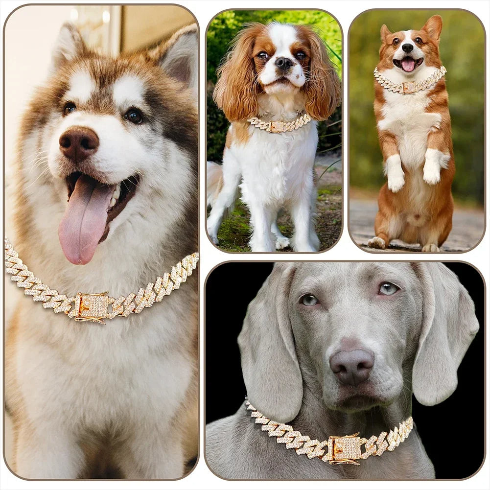 Collier chien bijou Luxe élégant