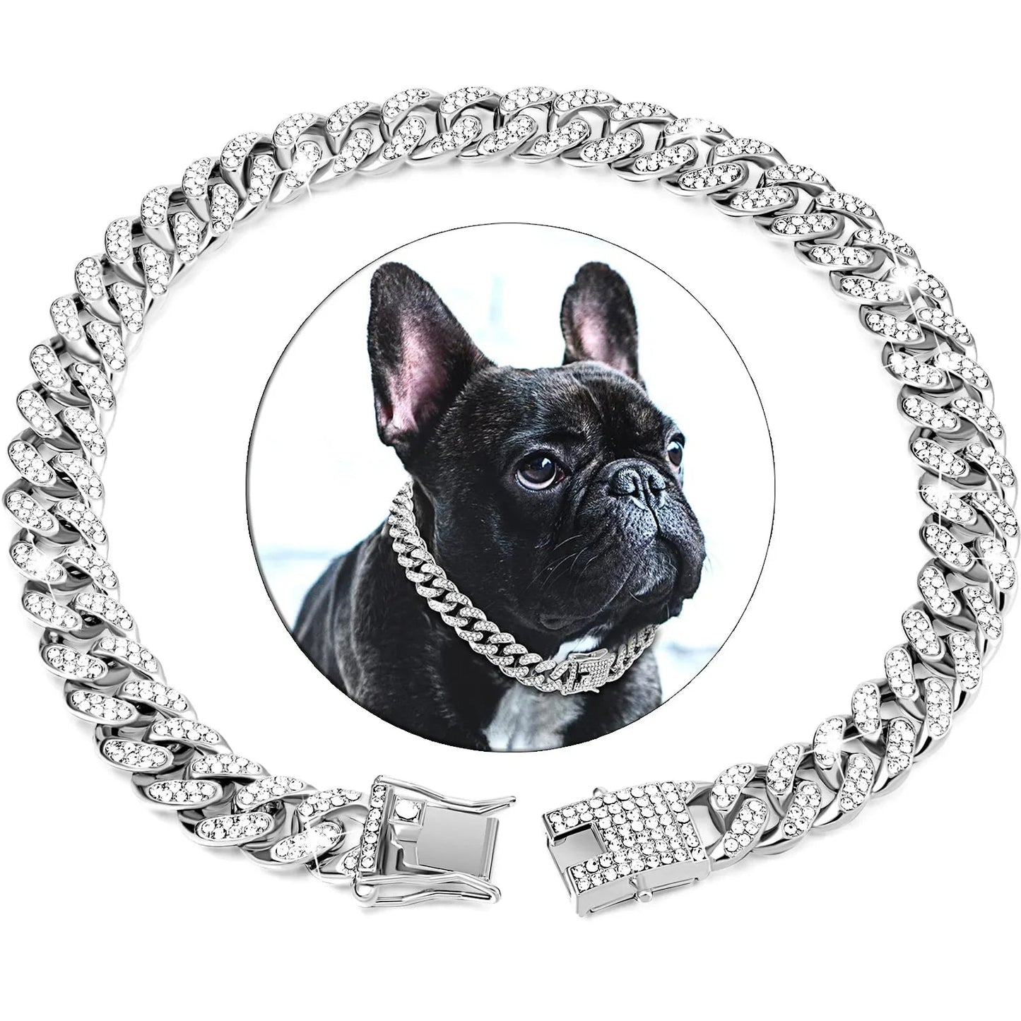 Collier_chien_argenté