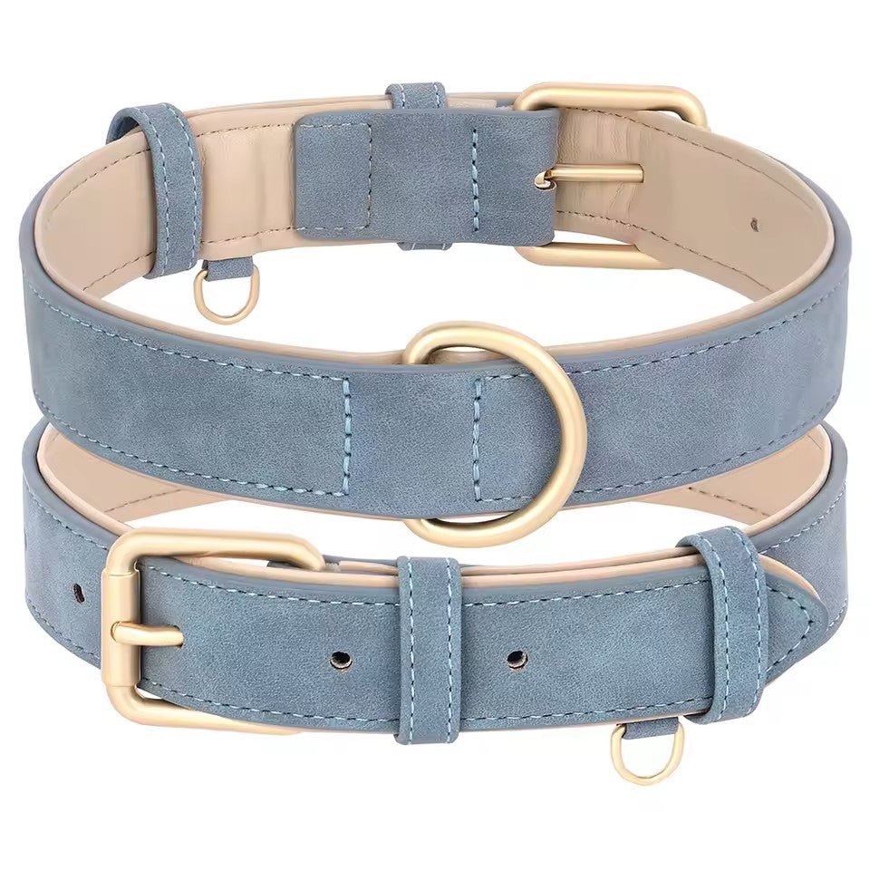Collier chien|Classicollar™ - MyDoggy - Shop
