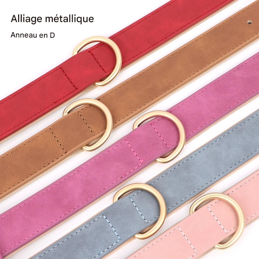 Collier chien|Classicollar™ - MyDoggy - Shop