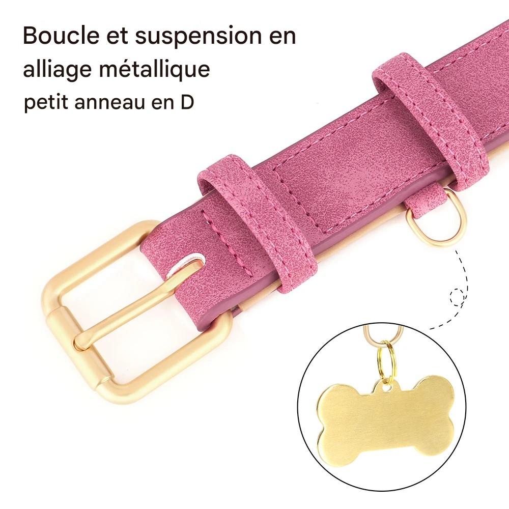 Collier chien|Classicollar™ - MyDoggy - Shop