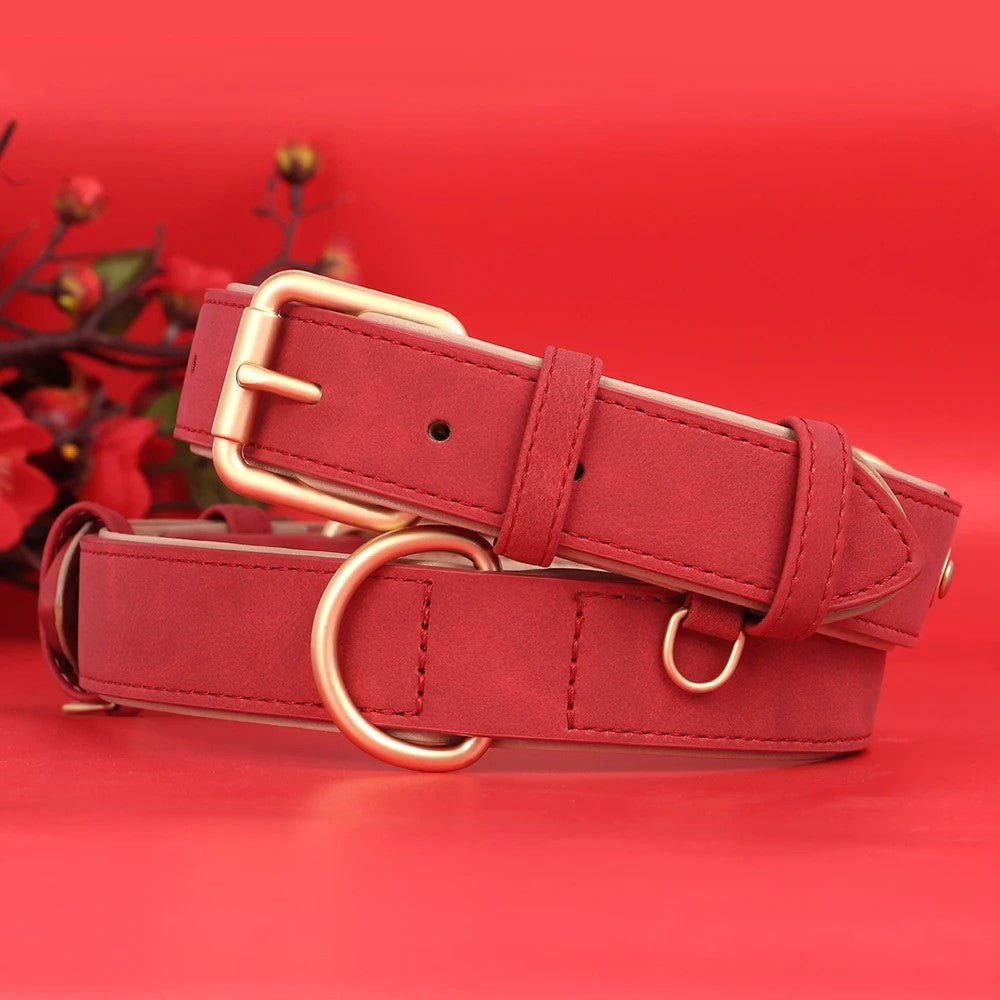 Collier chien|Classicollar™ - MyDoggy - Shop