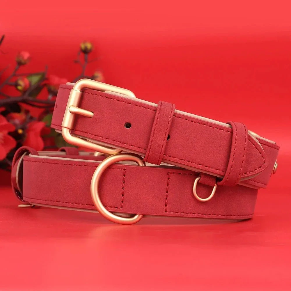 Collier chien|Classicollar™ - MyDoggy - Shop