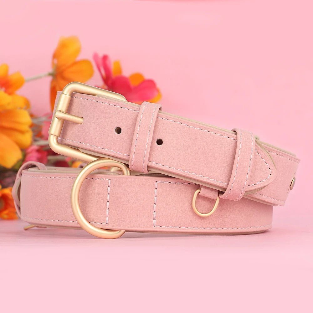 Collier chien|Classicollar™ - MyDoggy - Shop