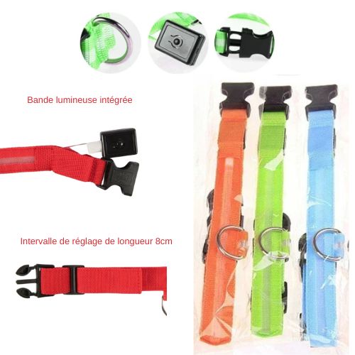 Collier chien|LumiDogâą - MyDoggy - Shop