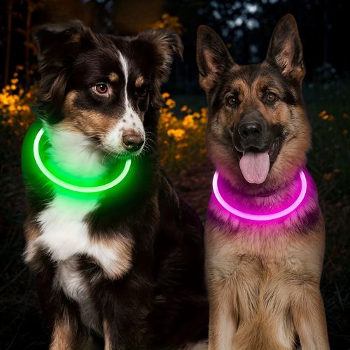 Collier chien|SécuLumi™ - MyDoggy - Shop