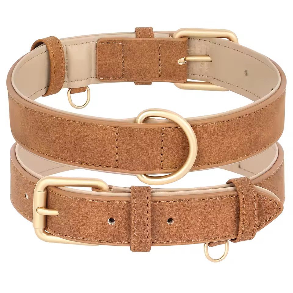 Collier chien|Classicollar™ - MyDoggy - Shop