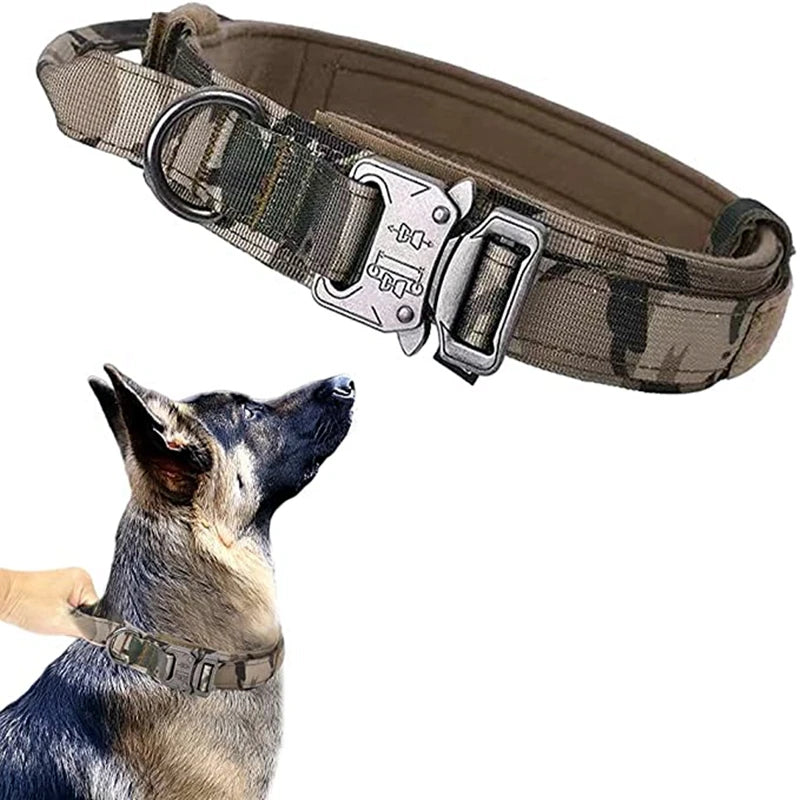 Collier Chien Tactique Nylon Renforcé | TactiCollar™