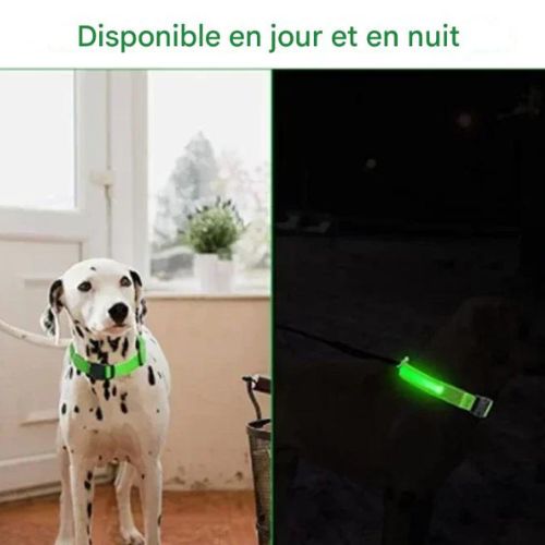Collier chien|LumiDogâą - MyDoggy - Shop