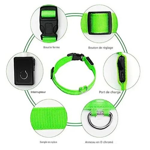 Collier chien|LumiDogâą - MyDoggy - Shop