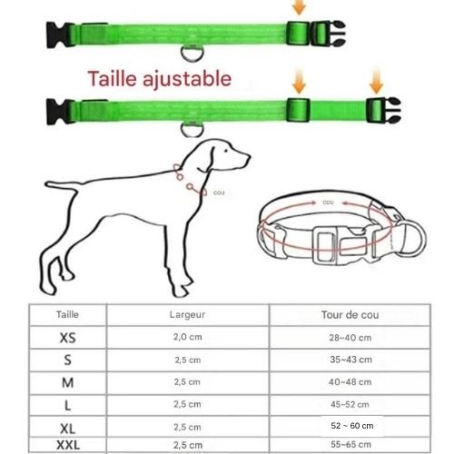 Collier chien|LumiDogâą - MyDoggy - Shop