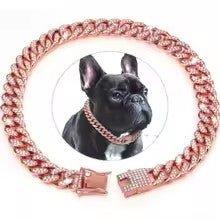 Collier chien|CubiDiam's™ - MyDoggy - Shop