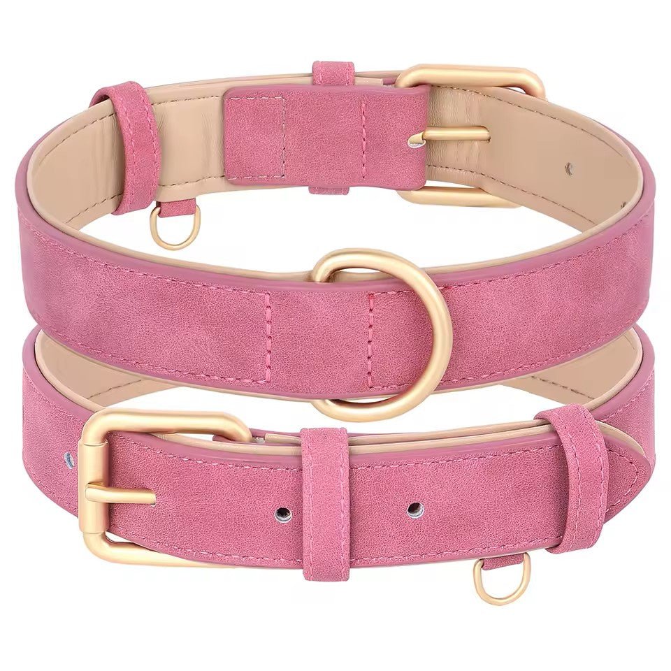 Collier chien|Classicollar™ - MyDoggy - Shop