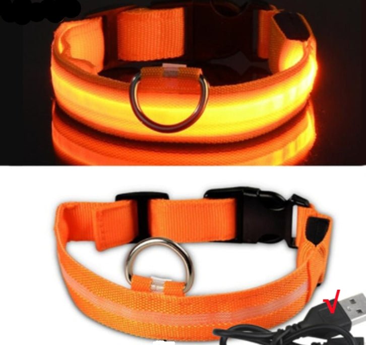Collier chien|LumiDogâą - MyDoggy - Shop