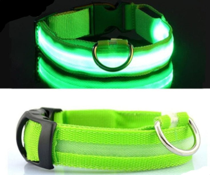 Collier chien|LumiDogâą - MyDoggy - Shop