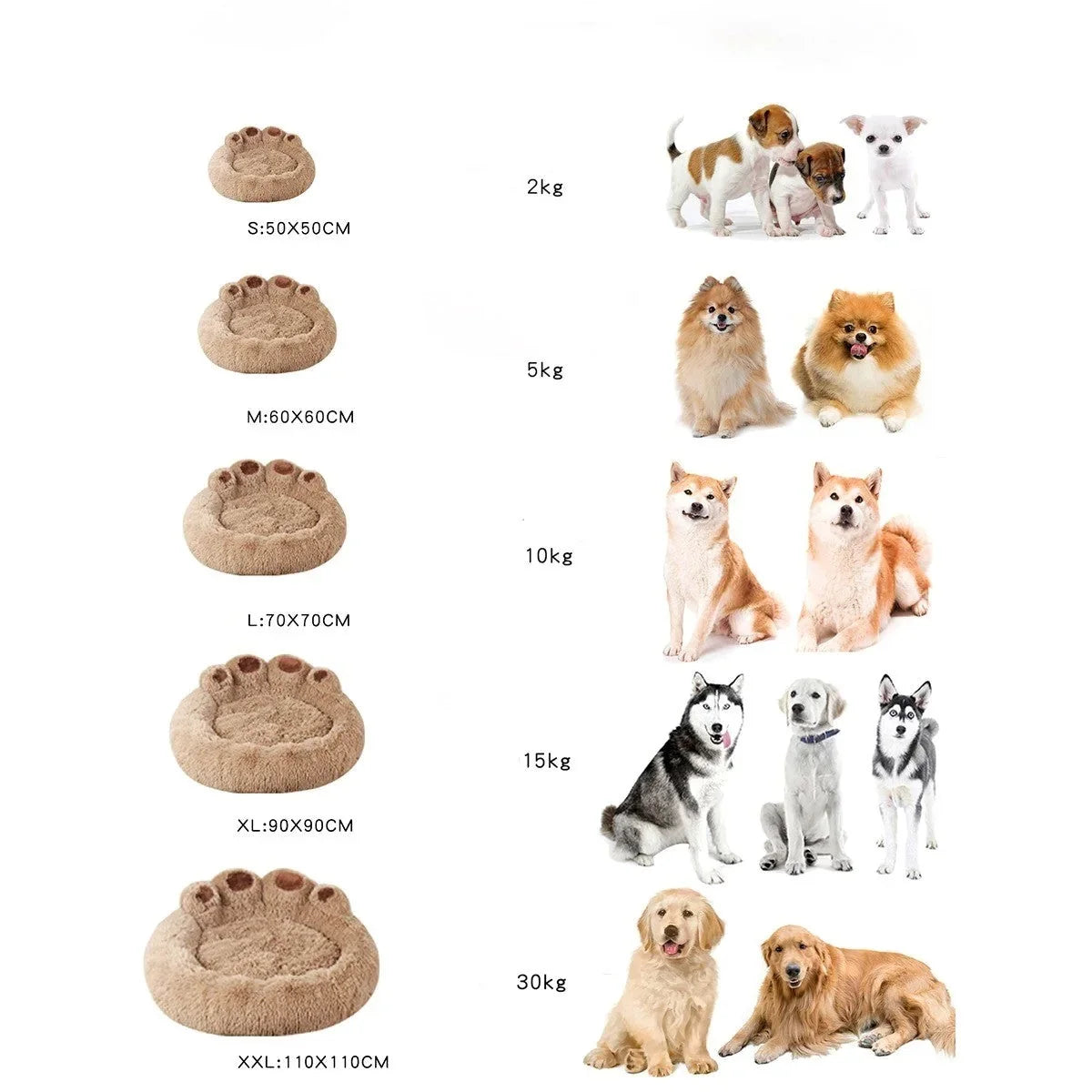 12. Guide des tailles coussin chien — S, M, L, XL selon le poids du chien