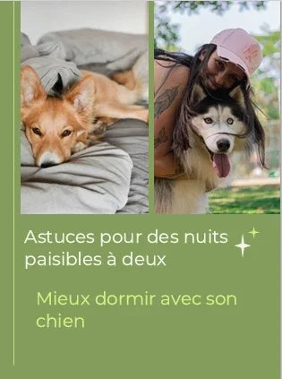 Guide Premium Sommeil Canin