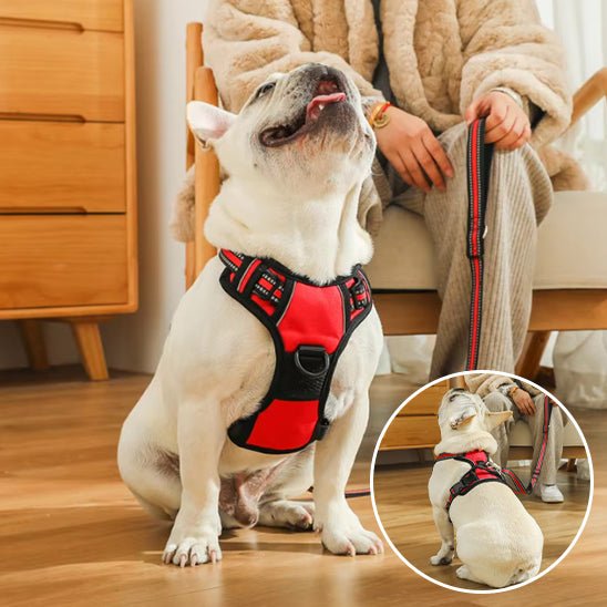 Harnais chien | ChicHarnais™ - MyDoggy - Shop