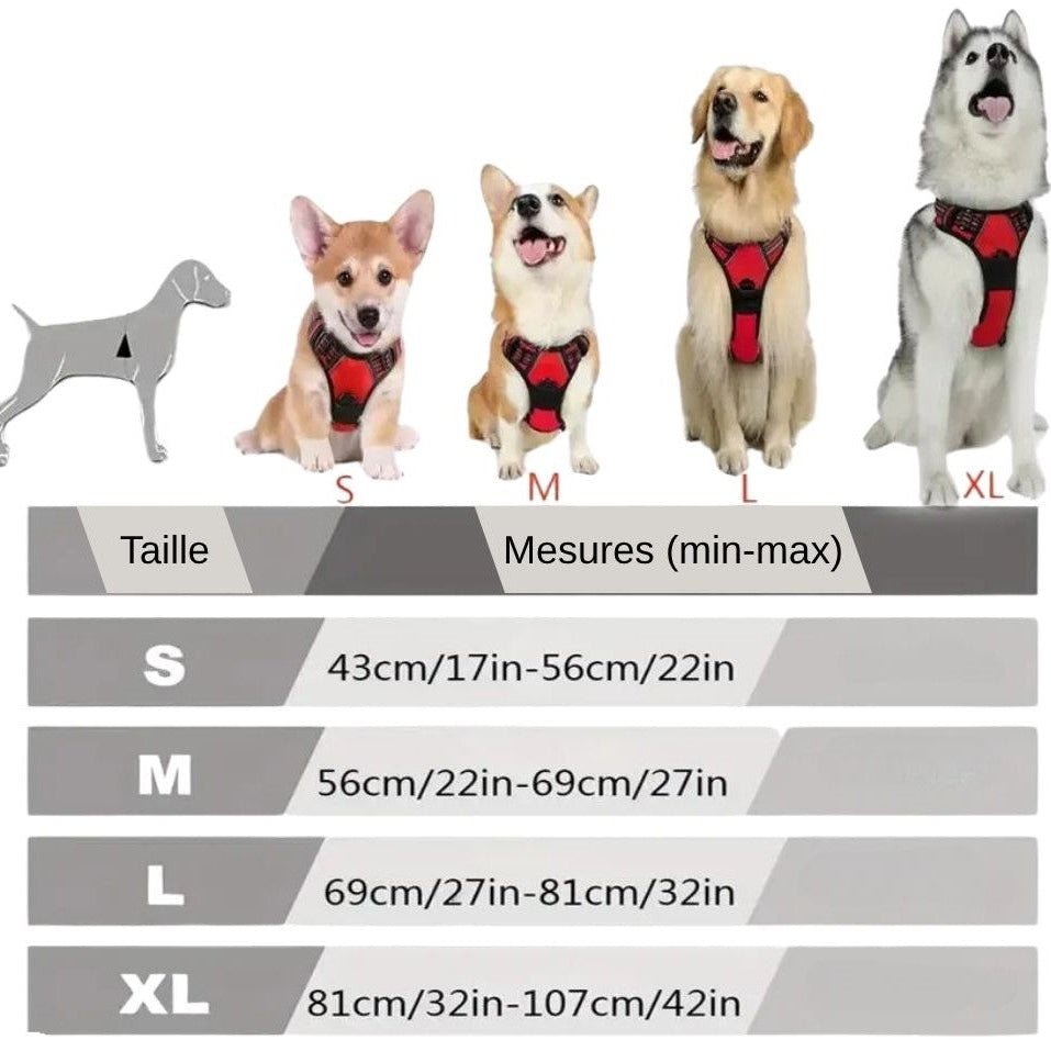 Harnais chien | ChicHarnais™ - MyDoggy - Shop