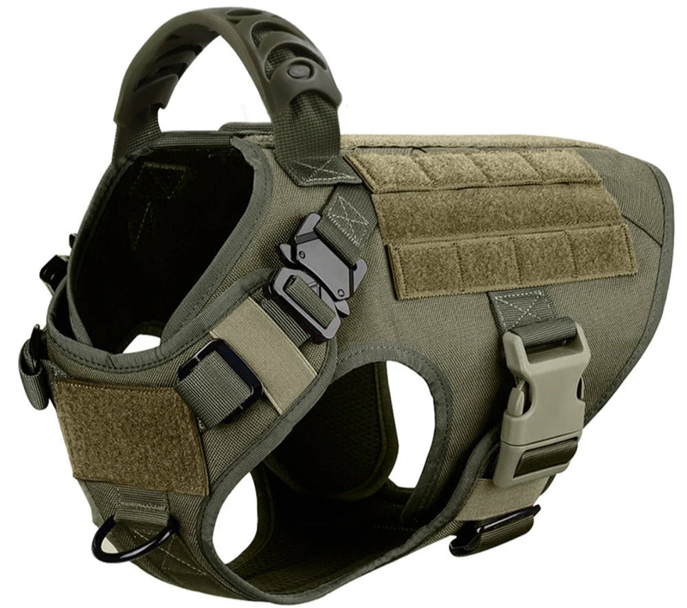 Harnais chien couleur militaire