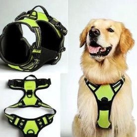 Harnais chien | ChicHarnais™ - MyDoggy - Shop