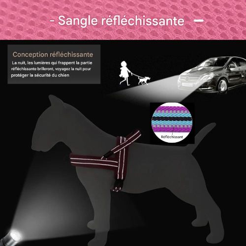 Harnais chien|DouHarnais™ - MyDoggy - Shop