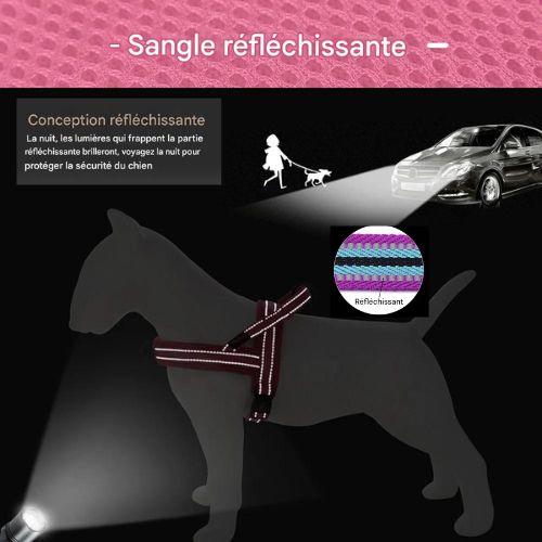 Harnais chien|DouHarnais™ - MyDoggy - Shop