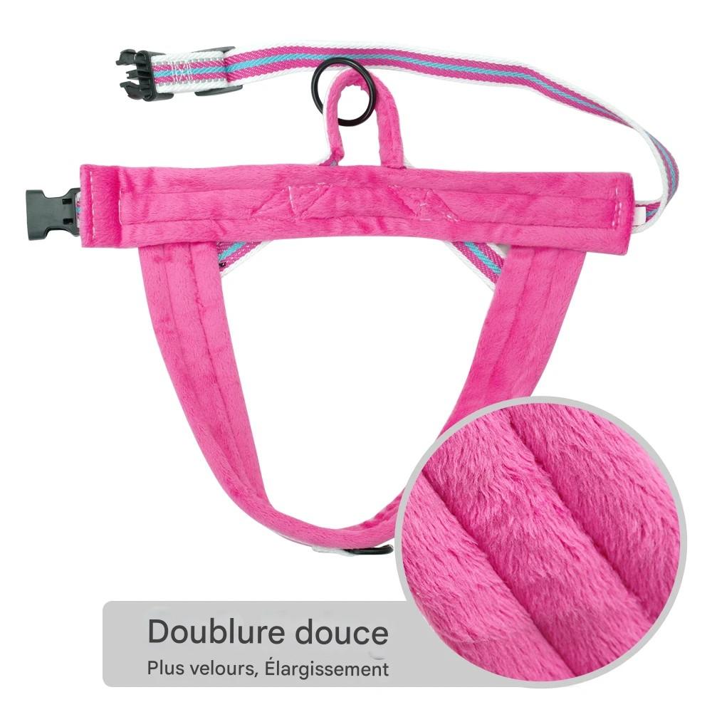 Harnais chien|DouHarnais™ - MyDoggy - Shop
