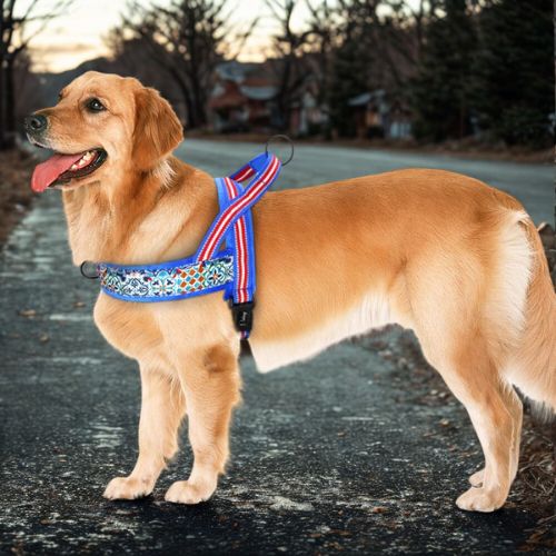 Harnais chien|DouHarnais™ - MyDoggy - Shop