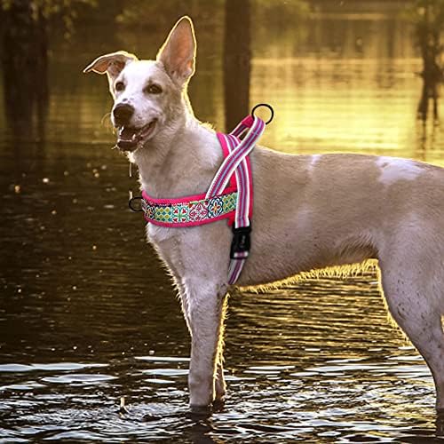 Harnais chien|DouHarnais™ - MyDoggy - Shop