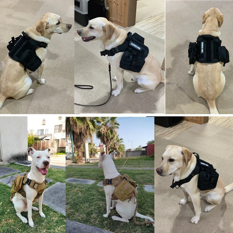 Harnais chien robuste et élégant