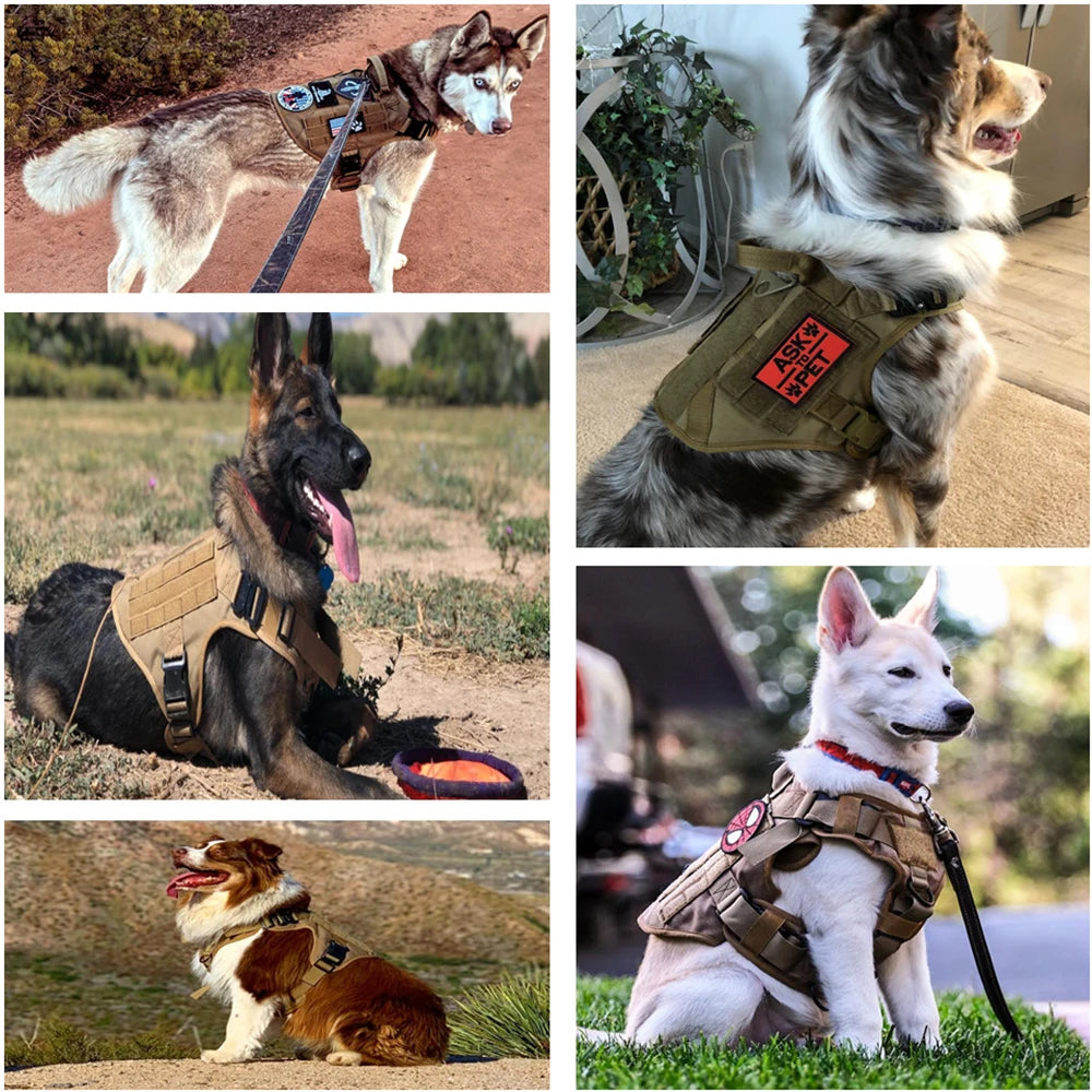 Harnais chien pour les chiens qui tirent