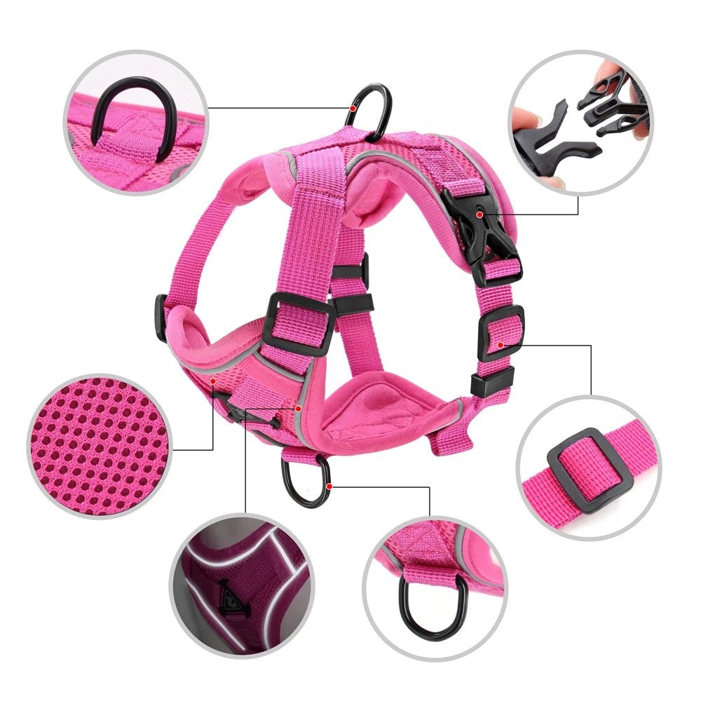 Harnais chien et Laisse CareHarnaisâą - MyDoggy - Shop