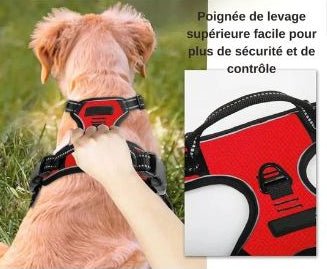 Harnais chien | ChicHarnais™ - MyDoggy - Shop