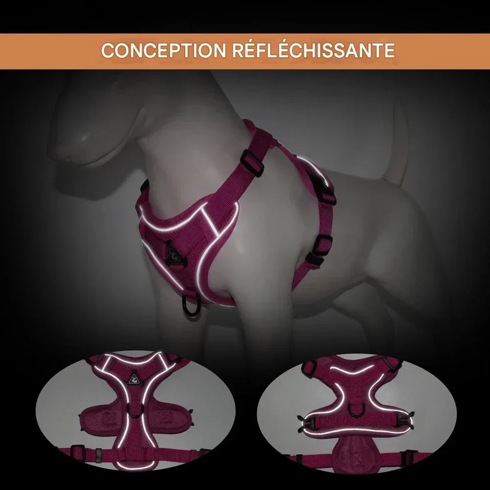 Harnais chien réfléchissant