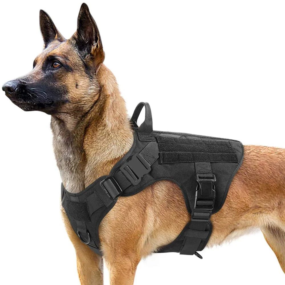 Harnais chien confortable et robuste