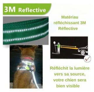 Harnais chien | ChicHarnais™ - MyDoggy - Shop