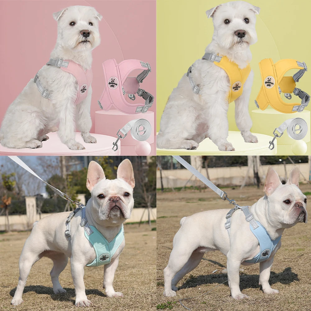 harnais chien modĂšles