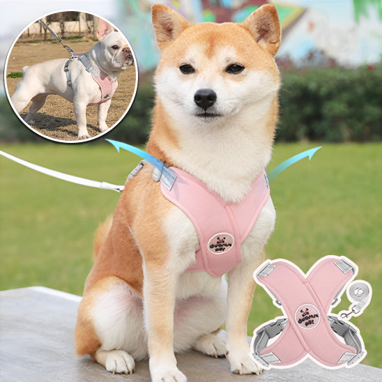 harnais chien rose