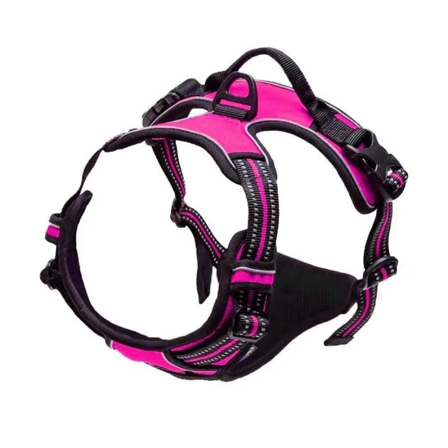 Harnais chien | ChicHarnais™ - MyDoggy - Shop
