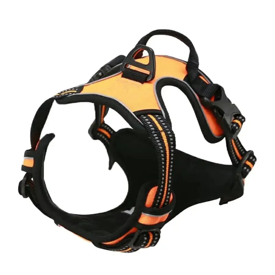 Harnais chien | ChicHarnais™ - MyDoggy - Shop