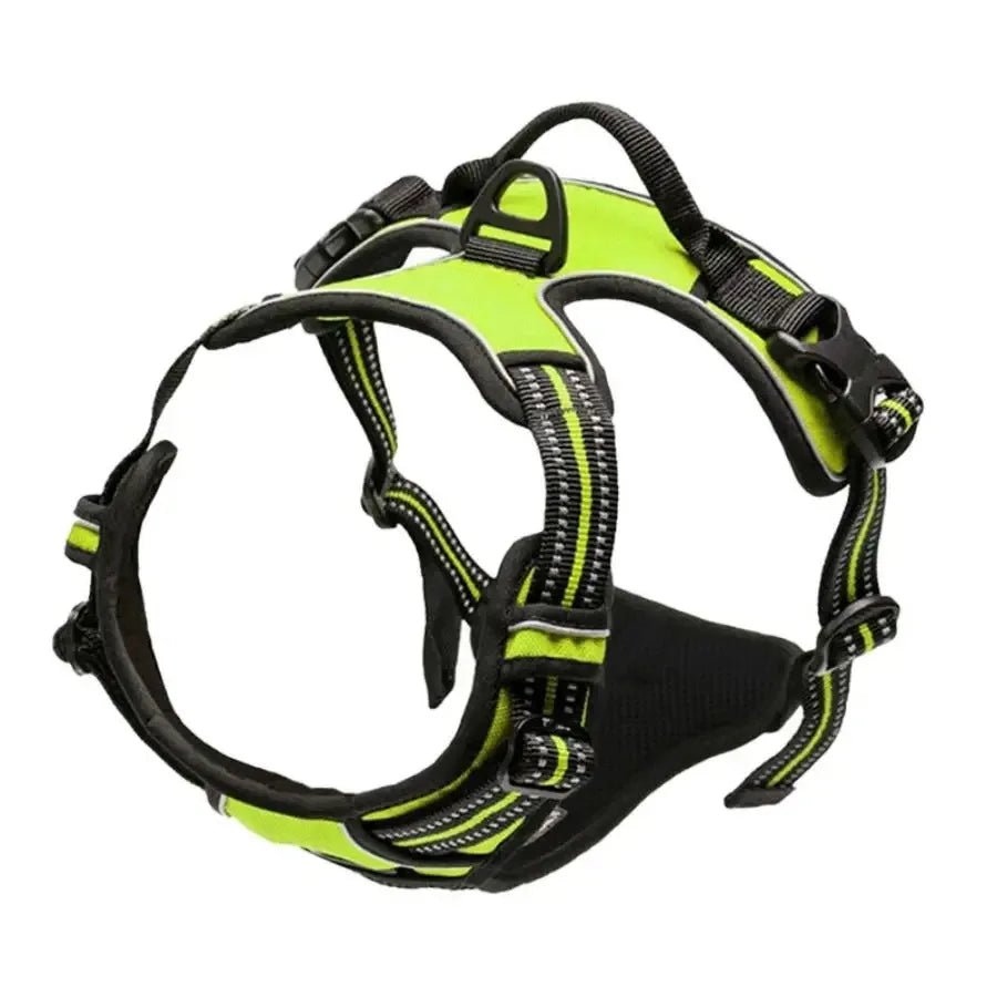 Harnais chien | ChicHarnais™ - MyDoggy - Shop