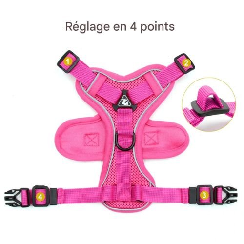 Harnais chien et Laisse CareHarnaisâą - MyDoggy - Shop