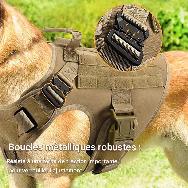 Harnais pour chien chic robuste