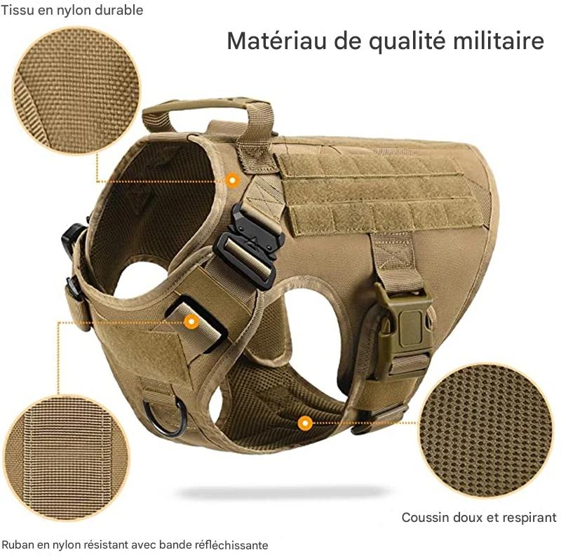Harnais pour chien détail