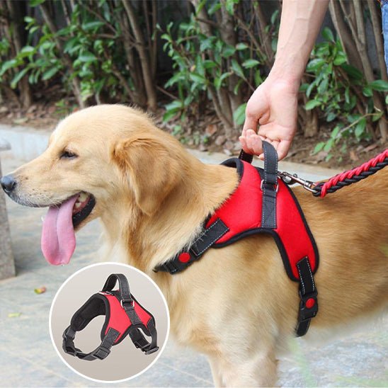 Harnais chien|Novacanis™ - MyDoggy - Shop