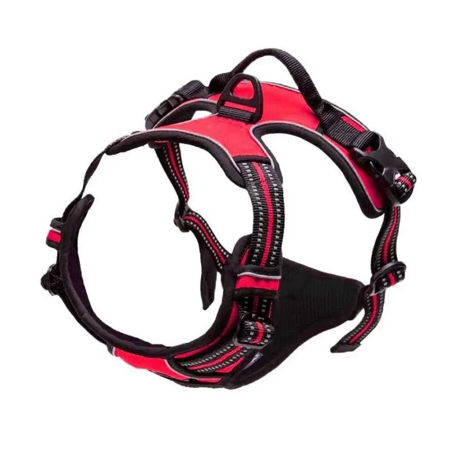 Harnais chien | ChicHarnais™ - MyDoggy - Shop