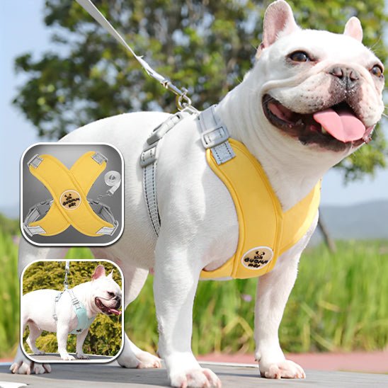 harnais chien jaune
